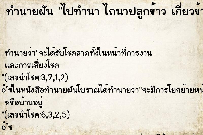 ทำนายฝันไปทำนาไถนาปลูกข้าวเกี่ยวข้าว ทำนายฝันทำนายฝันไปทำนาไถนาปลูกข้าวเกี่ยวข้าว